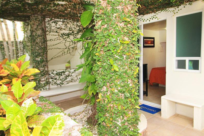Bon Jesus Hotel La Vigueta Dış mekan fotoğraf